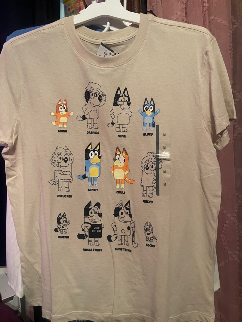 Bluey & family tshirt